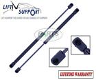 10278149 29738 Gas Spring Support Rear Trunk Lid Lift Supports Shocks Struts