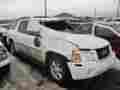 170-01929 4073586 Envoy Trunk Hatch Tailgate End Gate Fits 04-05 Xuv