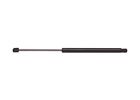 4113 Strong Arm Strongarm Trunk 802280229788