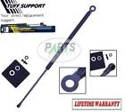 74820-sh2-307 612001 Tuff Support 1 Rear