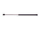 6601 Rhinopac Back Glass Lift Support