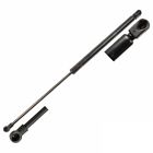 8d9827552g Meyle Hatch Lift Support Shock For Audi Brand New Premium