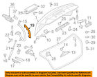 8t8971822a01c Audi Oem Quattro Trunk Right