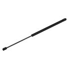 900026 Monroe Liftgate Lift Support 048598141873