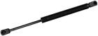 901535 Monroe New Trunk Lid 048598023353
