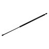 901764 Monroe Passenger Side Liftgate Lift Support 048598120595