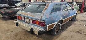 170-01754 American Motors Rear Hatch/tailgate With Glass Fits 1981 Amc Concord 1137732