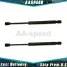 Aspd2010101162051 Stabilus Trunk Lid Lift Support For Hyundai Sonata