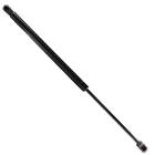 Atpp1311140016 Hatch Lift Support Strut Struts Wagon For Audi Allroad Quattro