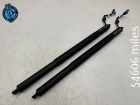 51247441811 Bmw 2019-2026 X7 Xb7 Rear Tailgate Trunk Lid Shock Strut Lift Cylinder Pair Oem