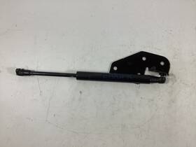 51479149120 Bmw 6980060 2007- 2013 X5 E70 Rear Trunk Cargo Cover Shock Lift Cylinder Oem