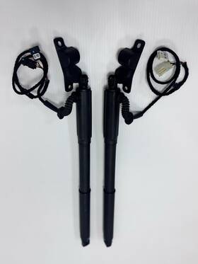 7286115 Bmw 07-13 E70 X5 X5m Left And Right Rear Tailgate Hatch Electric Shock Struts 7286115 Bmw 07-13 E70 X5 X5m Left And Right Rear Tailgate Hatch Electric Shock Struts
