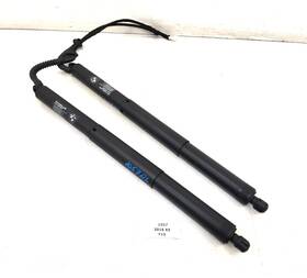 7361878 Bmw 14-18 Oem X5 F15 F85 Rear Left Right Trunk Tailgate Shock Hatch Strut Pair