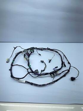 25900729 Buick 2010 Enclave Rear Lift Gate Wire Harness Assembly Oem With Camera
