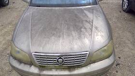 170-01772d Cadillac Trunk/hatch/tailgate Without Spoiler Fits 00-01 Catera 270937