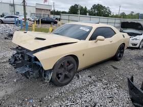 1zb40tzzai Dodge Used Deck Lid Fits 2015 Challenger With Spoiler Notched Painted Bo