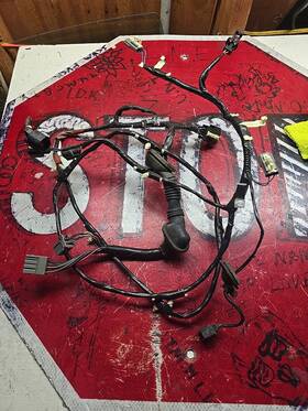 170-01883 Ford 2002-2005 Explorer Trunk Rear Hatch Wiring Harness With License Light B44