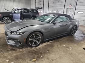 170.fd1f24 Ford Local Pickup Only Mustang 2024 Trunk/hatch/tailgate 2128336 170.fd1f24 Ford Local Pickup Only Mustang 2024 Trunk/hatch/tailgate 2128336