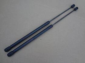 F5zb-63496a10-ba Ford 1999 - 2004 Mustang Svt Cobra 4.6 Trunk Shocks Oem Sku# J147 F5zb-63496a10-ba Ford 1999 - 2004 Mustang Svt Cobra 4.6 Trunk Shocks Oem Sku# J147