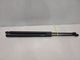 172.fd8402 Ford Truck 2002 Explorer Rear Hatch Struts Pair