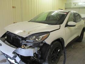 172.fd8a20 Ford Truck Escape 2020 Hatchback Strut 1649458