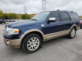 172.fd8e13 Ford Truck Expediton 2013 Hatchback Strut 8188760