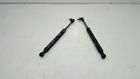 172.in1m03 G35 Infiniti Right And Left Trunk Struts Oem