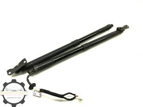 Honda 74961-tg7 2016-2022 Pilot Rear Liftgate Power Lift Support Strut Cylinder Set X2 Oem