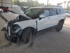 170-10489b Hyundai Local Pickup Only Santa Fe 2024 Trunk/hatch/tailgate 1912844