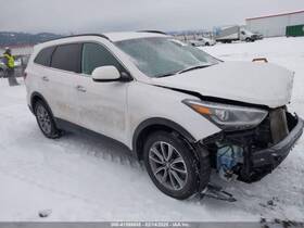 170-10501c Hyundai Santa Fe 2017 Trunk/hatch/tailgate 5078835