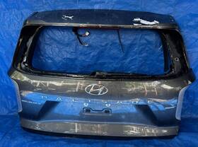 Or17-tru351 Hyundai 72801-s8440 Palisade Trunk Lid Tailgate Liftgate Hatch Assembly Gray P7v 20-23 Or17-tru351 Hyundai 72801-s8440 Palisade Trunk Lid Tailgate Liftgate Hatch Assembly Gray P7v 20-23