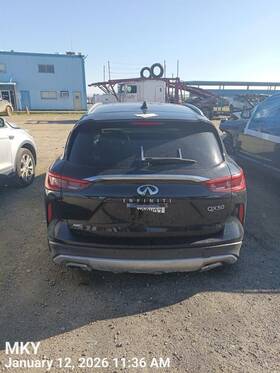 905605na0c Infiniti Qx50 2020 Hatchback Strut 8995396