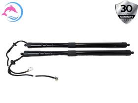 Cpla-70354-bc Land Rover 13 - 17 Lr Range Oem Right And Left Upper Trunk Tailgate Shock Lift Strut