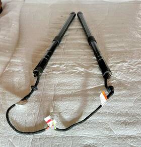 Cpla70354 Land Rover 2013-2022 Range L405 - Rear Tailgate Trunk Lid Power Shock Struts Oem