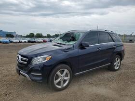 172.mb1k17 Mercedes-benz Gle350 2017 Hatchback Strut 1900461