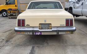 170-01201 Oldsmobile Cutlass 1980-1987 Tailgate 1685854