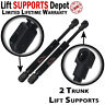 Pm3158 Lift Supports Depot Qty Vw Beetle To Trunk Fits Convertible