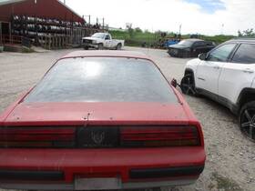 170-01247j Pontiac Local Pickup Only Trunk/hatch/tailgate Fits 87-90 Firebird 1601089