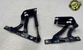 98151215202 Porsche 2013-2024 Boxster Rear Trunk Lid Hinges Blue Pair With Lift Cylinder Oem