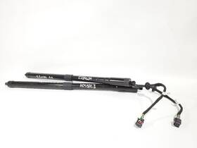 640.rv1e15 Rover Pair Of Power Liftgate Struts Oem 2015 Evoque