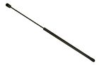 Sg230059 Sachs Access Panel Lift Support