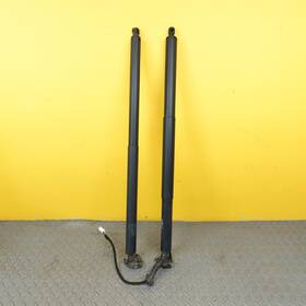 Tesla 1065664-00-a 2016-2020 Model X Set Rear Left Right Trunk Lid Shock Strut Oem 106566400a