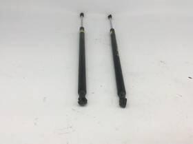 172.to1n13 Toyota 2013 13 Prius Hatchback Struts Set Of 2 O