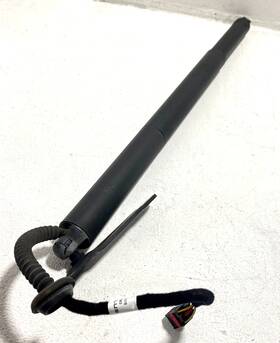 3cn-827-851-d Volkswagen 2020-2022 Atlas Rear Driver Left Trunk Lid Lift Cylinder Oem