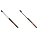 SET-TRWTSG427001-2 Trunk Lid Lift Supports Of Driver & Passenger Pair. Fixed Price $54.75.