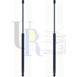 Tuff Support 2PCS Rear Hatch Lift For Lexus RX330 2004 2005 2006. Fixed Price $89.24.