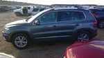 Tiguan 2012 Hatchback Strut 321412. Fixed Price $40.00.