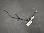 Rear License Lamp Wiring Harness 2018 Ford Ecosport GN15-17N400-ABE 2019 2020. Fixed Price $25.90.
