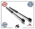 2X Tailgate Boot Gas Struts For Vauxhall Zafira Mk Ii Rear 2005-2015 13128759. Fixed Price $38.77.