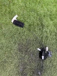 2004-2009 Nissan 350Z Convertible Trunk Lid Latch Lock Actuator Oem. Fixed Price $40.00.